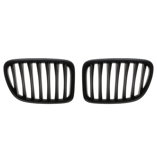 BMW X1 Kidney Grille