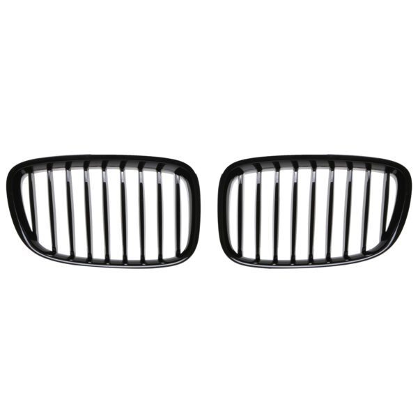 BMW 5 Series Kidney Grille